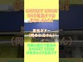 【 半年ぶり声入り 】約18年ファンの『GARNET CROW』のDVD鑑賞オフ会に参加しました
