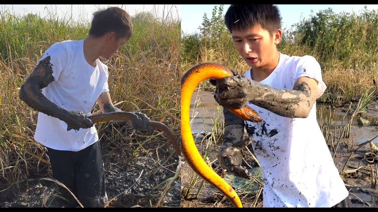 壹個美麗的魚米之鄉，想在這裏面抓壹下鳝魚#fishing #咱村小结巴 #记录我的乡村生活 #大熱門 #农村生活