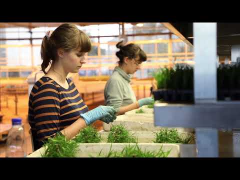 abflexkracht instructiefilm voor medewerkers Bunnik Vriesea's (NL)