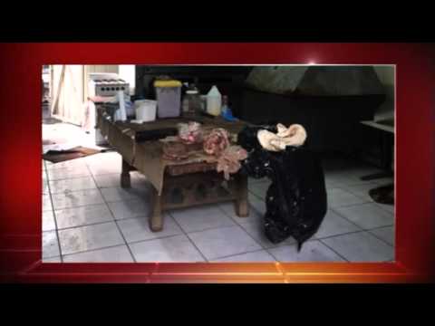 Operation Gaffhok channel 10 News
