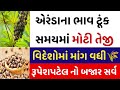 એરંડાના ભાવ મોટી તેજી|એરંડા નાં ભાવ:2026 | information about arenda price| coster price trade