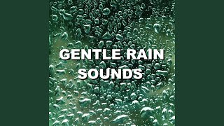 Enrapturing Daybreak Rain Forecast Recording