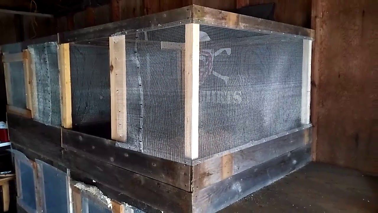 Brooder Pen AND Scratch Pen YouTube