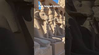สฟิงค์ที่คาร์นัคมีตัวเป็นสิงโตแต่ "หัวเป็นแกะตัวผู้" #อียิปต์ #egypt #kanak #sphinx #history