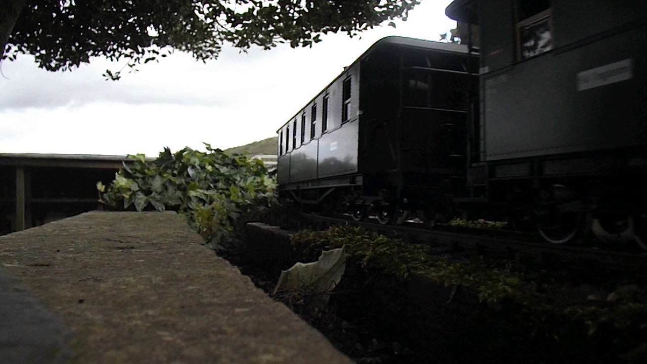 Harz Bulle on a heavy train for our amusement.