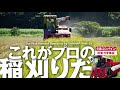 これがプロの稲刈りだ！〜僕たちが6条刈りコンバイン ヤンマーYH6101 を買ったワケ〜