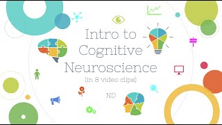 Neuroscience: Cognitive (Johns Hopkins University)