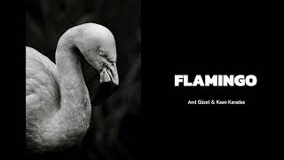 Anıl Güzel & Kaan Karadas - Flamingo