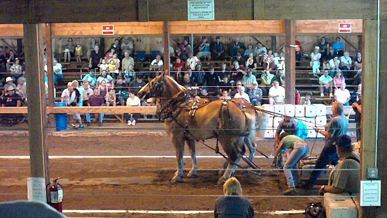 Hopkinton Fair 09 02 2011 Horse Pulling 4a YouTube