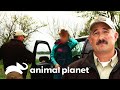 Dependente química recebe ajuda de guarda | Patrulheiros da Natureza | Animal Planet Brasil