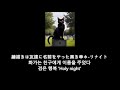 Bump of chicken - K 가사 한글 자막