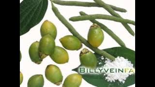 Download lagu Lagu Tanjung Kelapa Yang Asli