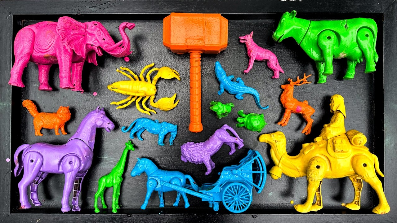 Membersihkan Mainan Hewan, Sapi, Bebek, Angsa, Ayam,Gajah,Simpanse,Singa,Unta,Buaya,Kangguru Part 30