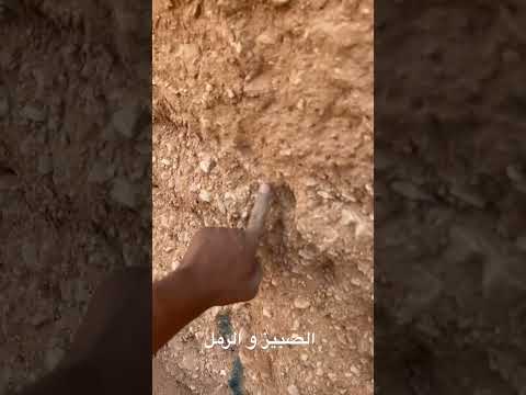 الصبيز و الرمل