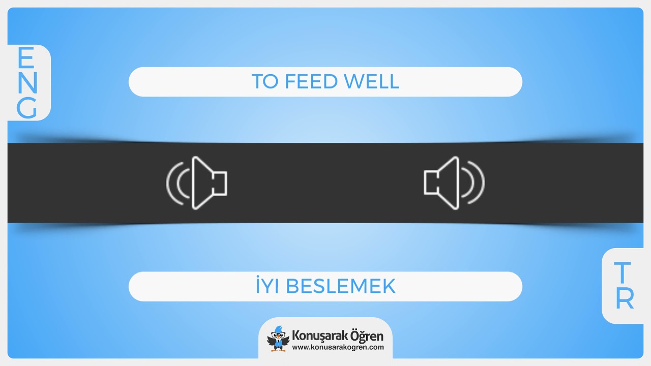 To Feed Well Nedir To Feed Well ngilizce T rk e Anlam Ne Demek To Feed Well Nedir To Feed Well ngilizce T rk e Anlam Ne Demek