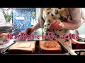 【夫のおにぎり＆朝練娘の朝ご飯】娘の歌が心に響いた朝。