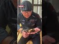 Får slakt: - Trist