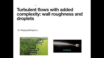 Turbulent flows with added complexity: wall roughness and droplets |  Dr Mogeng Li