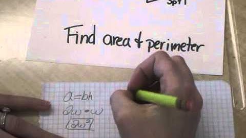 1.7 Simplifying Algebraic Expressions EXAMPLES