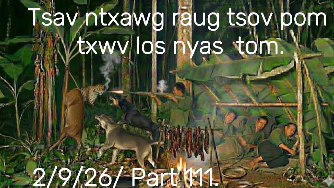Tsav ntxawg lawv 4 kwv tij mus tua kauv raug tsov pom txwv los nyas tom .