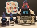 Happy Birthday, Cozmo!