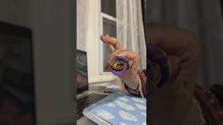 Purple clay rose making short video #flowers #tutorial #hacks #craft #viralvideo