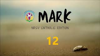 Mark 12 | English Audio Bible | AFCM | NRSV Catholic Edition