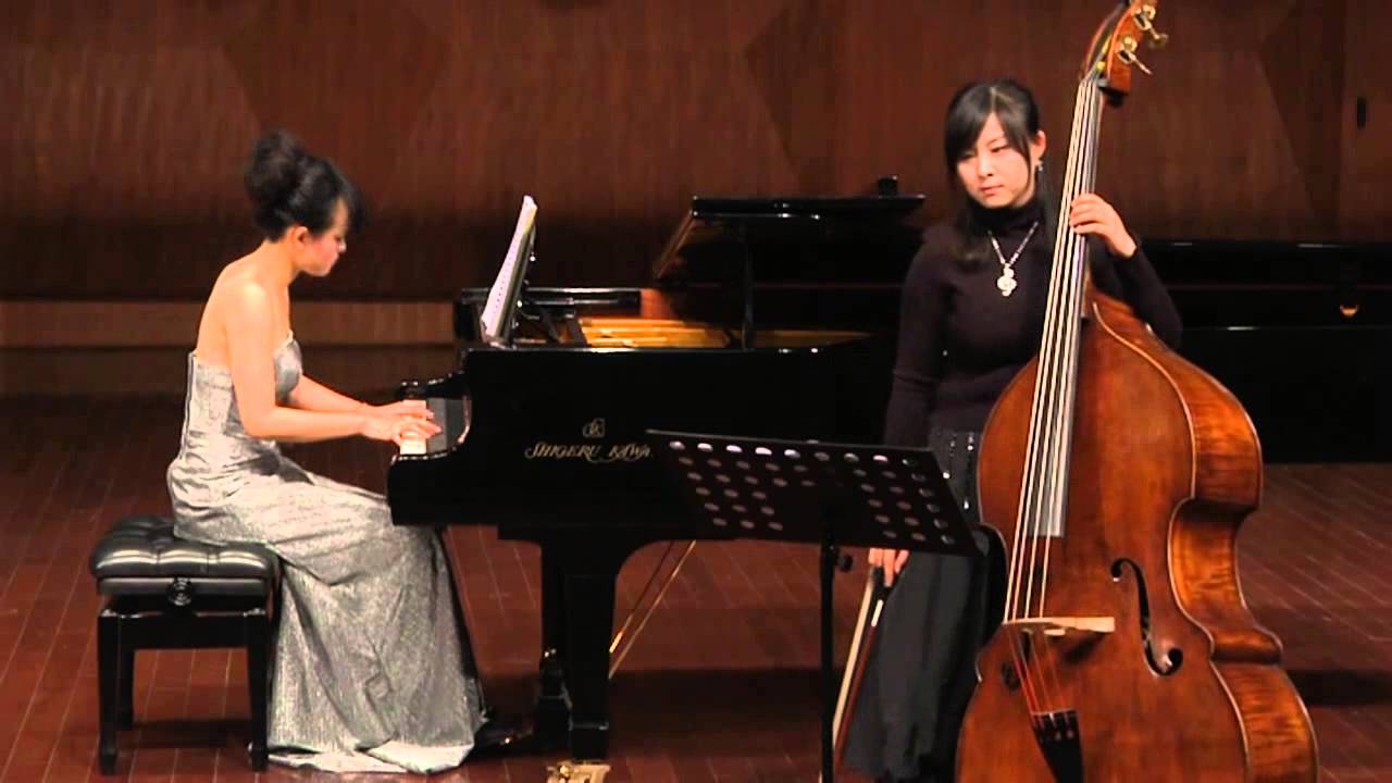 Hoffmeister Double Bass Concerto No. 1 in D, 3rd Mov., Fan Jie