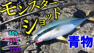 【ロックショア】モンスターショットで釣れたアクションを紹介【ショアプラッキング】