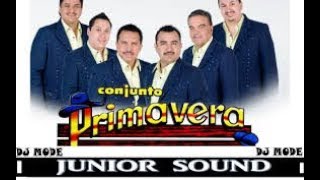 Ave Cautiva -  Conjunto Primavera