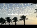 شهر رمضان خير وبركة mp3