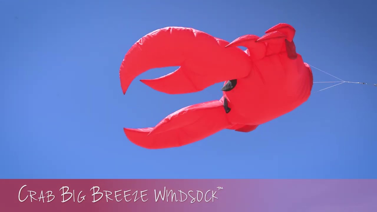Crab Big Breeze Windsock | KiteGarden.com
