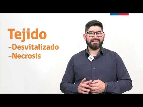 2.2 Definición de alteraciones térmicas parte 1