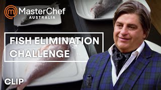 Name That Fish | MasterChef Australia | MasterChef World