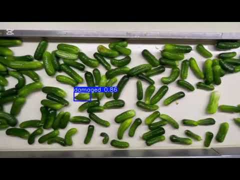 AI Defect Detection System Quality and Efficiency in Food Manufacturing Meta Smart Factory