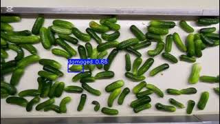 AI Defect Detection System | Quality and Efficiency in Food Manufacturing | Meta Smart Factory