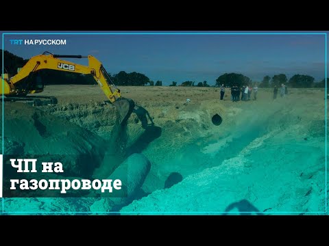 Недалеко от Киева