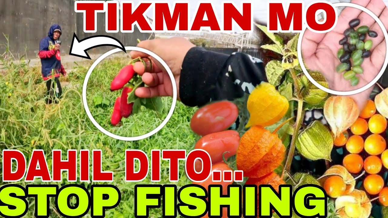 📌Nangyari ang Hindi inaasahan sa Fishing namin ni Lakay,