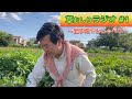 【新企画】草むしりラジオ！草むしりをしながらお喋りする編集なしの30分。