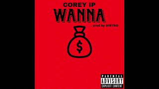 Wanna  Prod By prodbydistro 