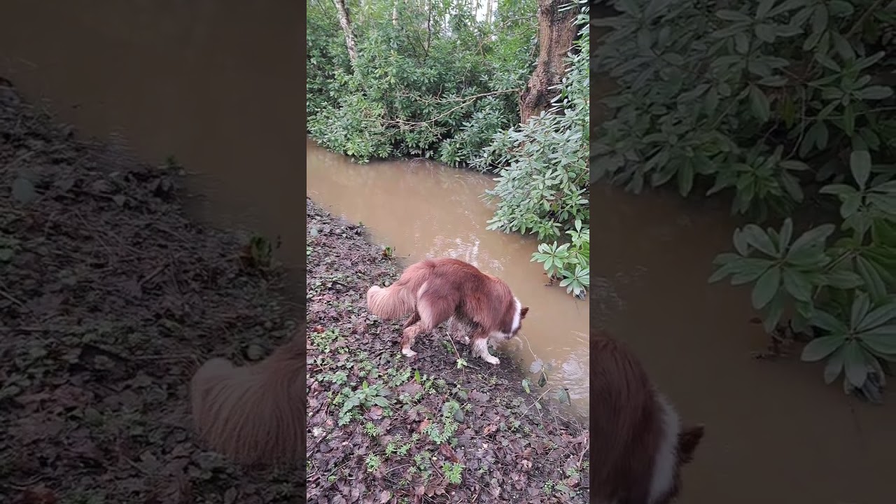 Hartshorne walk first day of March. 