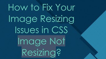 How to Fix Your Image Resizing Issues in CSS Image Not Resizing?