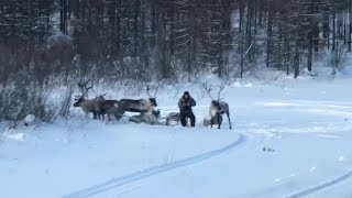 Дальнобой по ДВ. Крайний рейс в 2019г.