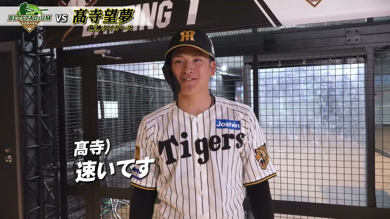 阪神甲子園球場 1/1500スケール スタジアムモデル プロ野球 阪神タイガース 阪神甲子園球場 1/1500スケールスタジアムモデル