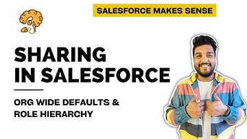 Org Wide Defaults & Role Hierarchy | Sharing Settings - Part 1 | Zero to Hero | EXPLAINED
