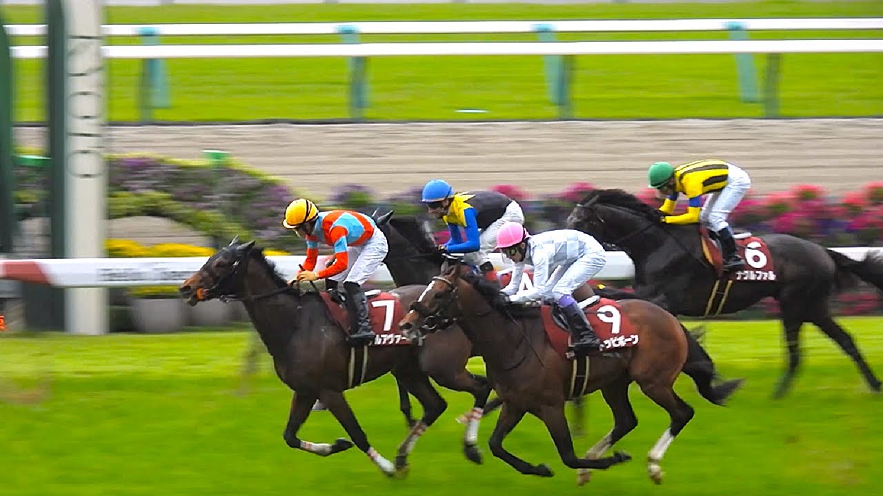 【武豊騎手＆トッピボーン🐴 京都新聞杯(GⅡ)に出走😊❗❗ 単勝1番人気に支持されるも勝利ならず😲 ダイジェスト版】京都11R 京都新聞杯(GⅡ) 2025.5.10