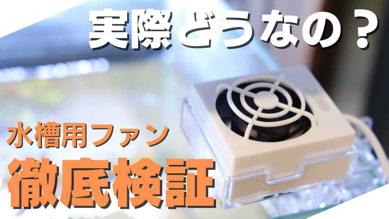 検証】水槽用のファンの効果を確かめてみました！！〈吉田観賞魚 