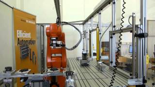 Celebrity Vision Guided Robot System Wealth