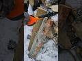 Мини-колун Fiskars (36cm/1.6kg) по сушняку. #axe #fiskars #splittingwood