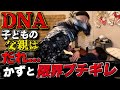 不倫男呼び出してボコす!
